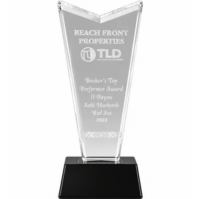 TLD Development Award 2023
